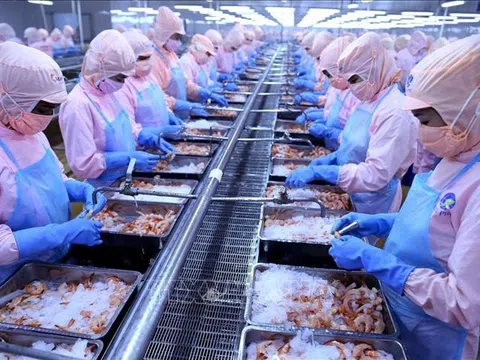 Thủy sản Minh Phú lên kế hoạch lợi nhuận vượt 1.000 tỷ tăng 62%, cao nhất trong lịch sử của công ty, chia cổ tức lên tới 70% cho năm 2021