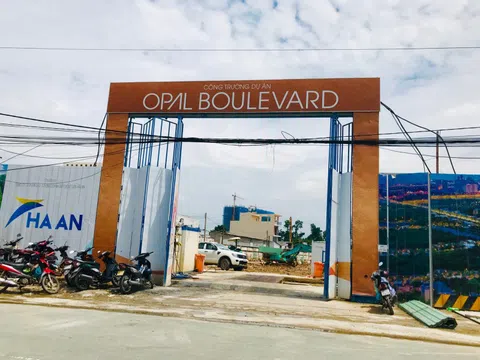 Năm 2020: Đất Xanh không chia cổ tức vì lỗ, năm 2021 ước đạt 1.350 tỷ đồng lợi nhuận thấp hơn nhiều so với kế hoạch