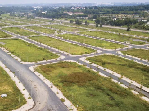 Gia tăng kỳ vọng vào đất nền