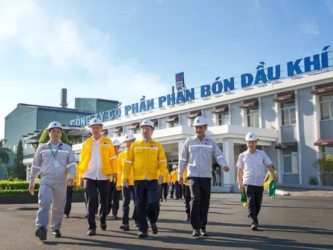 Đạm Cà Mau "hái ra tiền": Lãi gộp quý II tăng 65%, vượt xa kỳ vọng