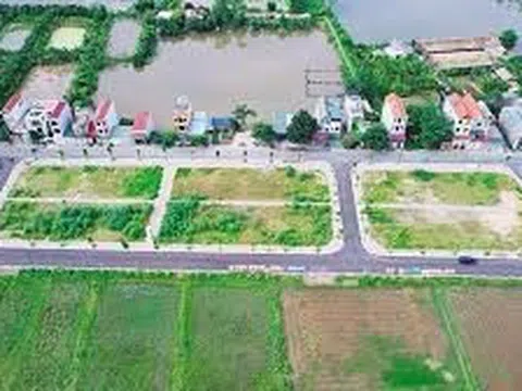 Hà Nội: 55/68 lô đất đấu giá tại Thanh Oai bỏ cọc có giá từ 80 triệu đến 100 triệu đồng