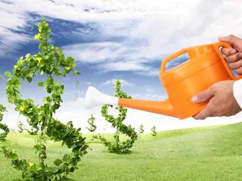 Hiệu quả đầu tư