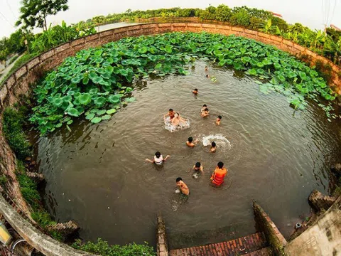 Phiên giao dịch ngày 5/3/2021: Ta về ta "tắm ao ta" (HNX), dù trong dù đục miễn là...không đơ!