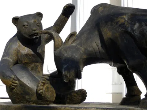 "Chim lợn" và "Bìm bịp"