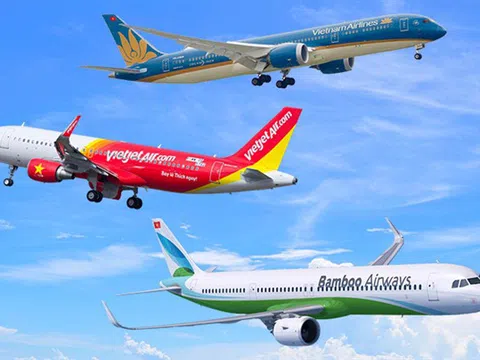 Hàng không bên bờ vực phá sản vì COVID-19