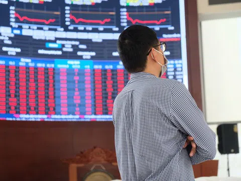 Nhà đầu tư F0 nên làm gì trong vòng xoáy "Cô Vy"? Bán, mua, hay giữ ?